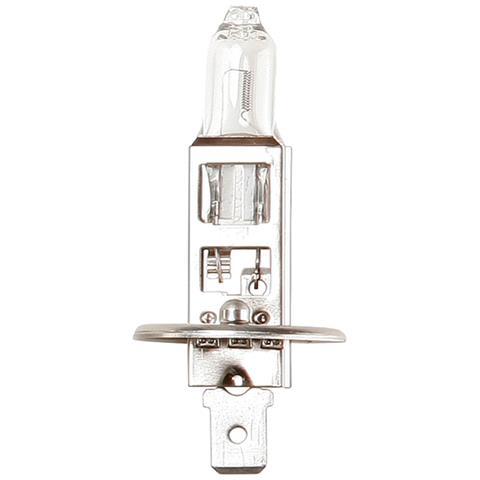 Lampadina Truck Master 24v 70w H1 - Foto 1