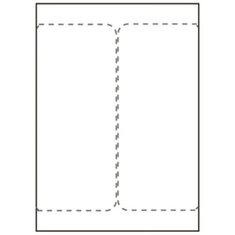 SHIPLABEL105X220-I2P etichetta per stampante - Foto 1