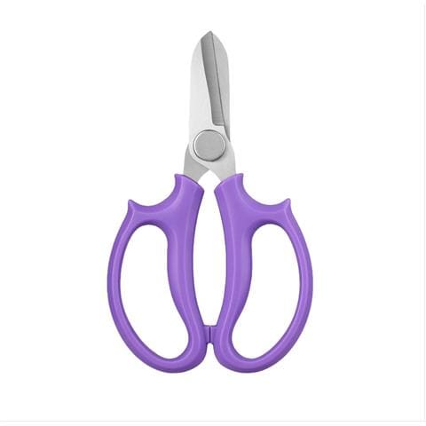 Forbici Da Fiori Professionali: Cesoie Per Fioristi In Acciaio Inossidabile Purple - Foto 2