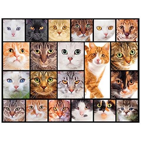 Puzzle 1000 Pezzi Eurographics Con Simpatici Ritratti Di Gatti | Divertente Poster Da 48x68 Cm Per Adulti E Ragazzi