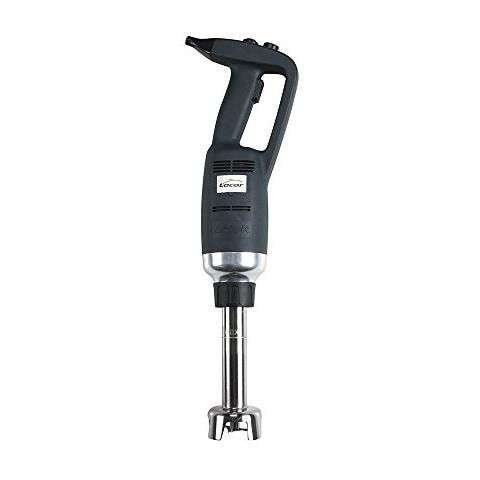 Frusta Brisk Professional Variable Series, 500W e 20cm - Foto 1
