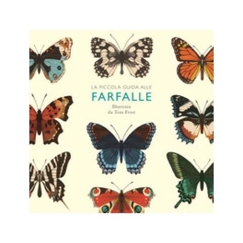 Alison Davies - Piccola Guida Alle Farfalle. Ediz. A Colori - Foto 1