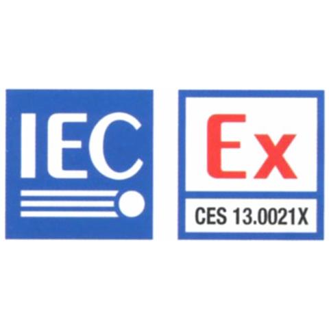 Contalitri Atex K24 Benzina - Foto 3