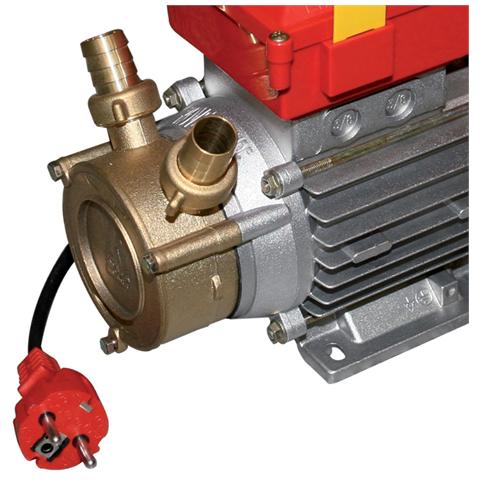 Elettorpompa a Autoadescante Monofase Hp 0,8 CE 25 - Foto 2