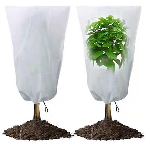 Telo Protettivo Invernale Per Piante – Beige 250x360 Cm – Tessuto Non Tessuto Antigelo Riutilizzabile