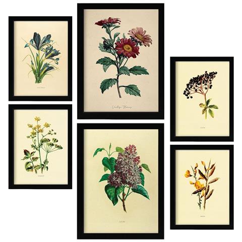 Set Di 6 Stampe Fiori Scuri In Stampe Vintage, Dipinti Decorativi Estetici Per Il Tuo Soggiorno, Camera Da Letto, Casa A3 & A4 Telaio In Legno Chiaro - Foto 1