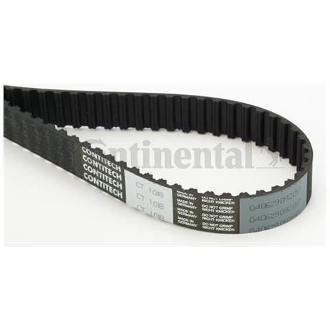 Distribuzione Cintura Ct1018 - Foto 1