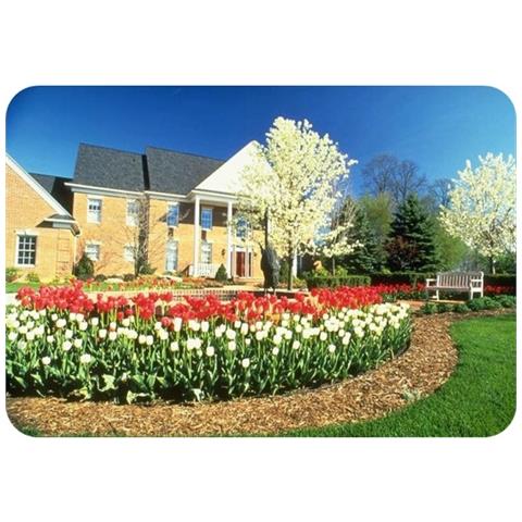 Set Di 10 Bordure Per Aiuole Ultra Resistenti In Alluminio Alti 24cm X 100cm | Aiuole Giardino | Cordoli Per Aiuole - Foto 2