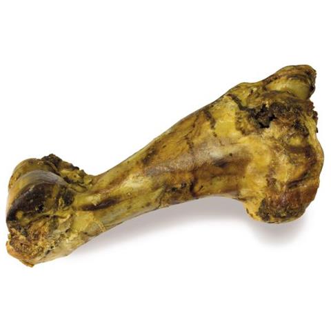 Osso Di Vitello Extra Large - Foto 1