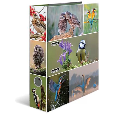 HERMA 19254 raccoglitore ad anelli A4 Multicolore - Foto 5