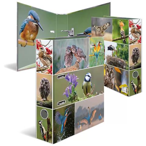 HERMA 19254 raccoglitore ad anelli A4 Multicolore - Foto 1