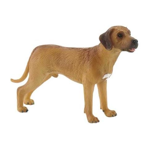 Animali Cane Rhodesian Ridgeback Nelson 65442 - Foto 1