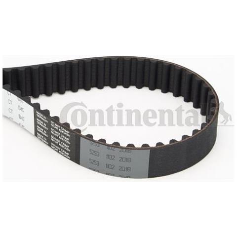 Distribuzione Cintura Ct1045 - Foto 1