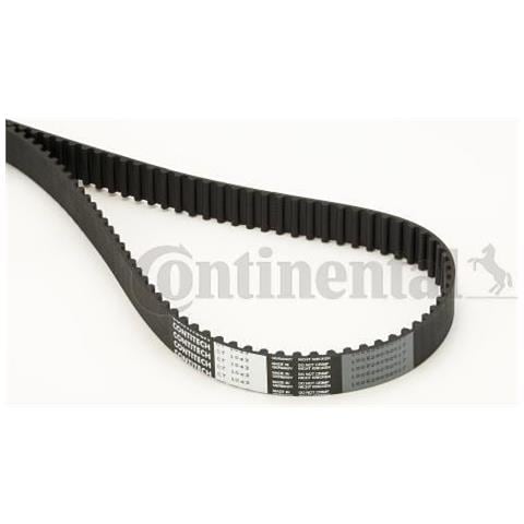 Cinghia Di Distribuzione - Foto 1