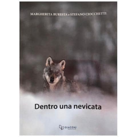 Margherita Buresta - Dentro una nevicata. Ediz. illustrata - Foto 1