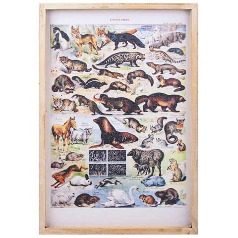 Quadro Su Stoffa Stampata Con Telaio In Legno 40x60x2h - Foto 2
