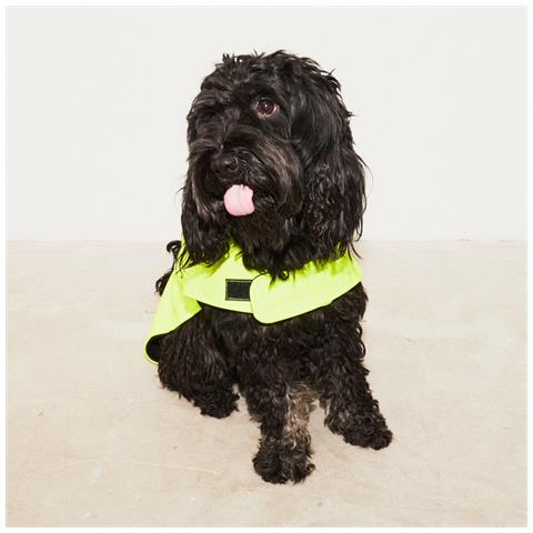 Impermeabile Per Cani Riciclato Giallo Ad Alta Visibilità - L - Foto 3