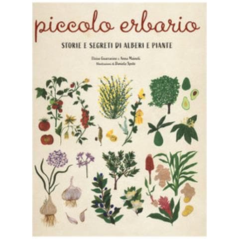 Eloisa Guarracino - Piccolo erbario. Storie e segreti di alberi e piante. Ediz. a colori - Foto 1