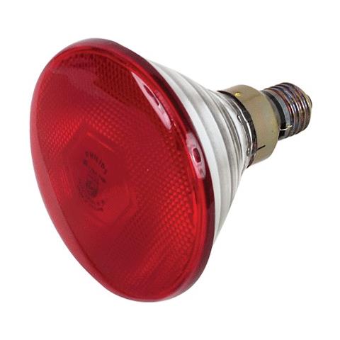 PAR38 IR 175W E27 240V Red 1CT / 12 175W E27 - Foto 2