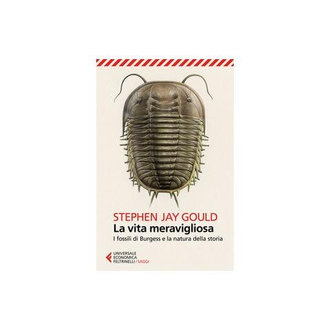 Stephen Jay Gould - La Vita Meravigliosa - Foto 3