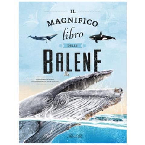Eliseo García Nieto - Il Magnifico Libro Delle Balene. Ediz. A Colori - Foto 1