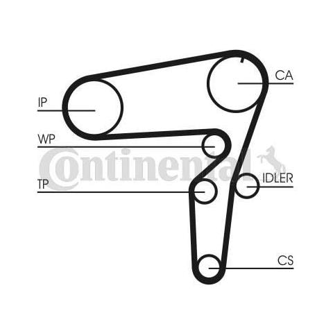 Cinghia Di Distribuzione - Foto 1