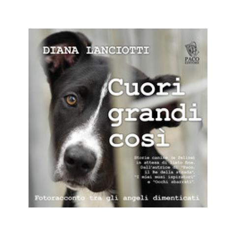 Diana Lanciotti - Cuori Grandi Così. Fotoracconto Tra Gli Angeli Dimenticati - Foto 1
