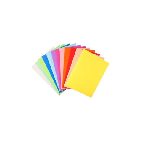 100 cartelline semplici 240gr 24x32cm mix 5 colori foldyne 250 - Foto 1