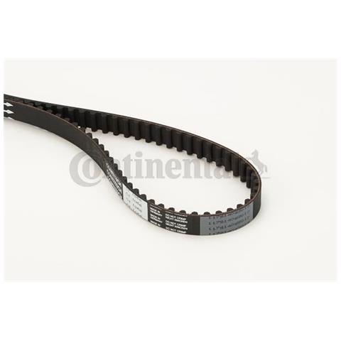 Distribuzione Cintura Ct1066 - Foto 1