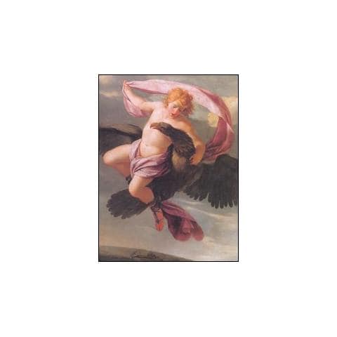 P. Nasone Ovidio - Le Metamorfosi. Illustrate dalla pittura barocca - Foto 1