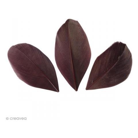 50 Piume - Rosso Bordeaux - Foto 1