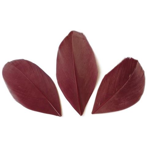 50 Piume - Rosso Bordeaux - Foto 2