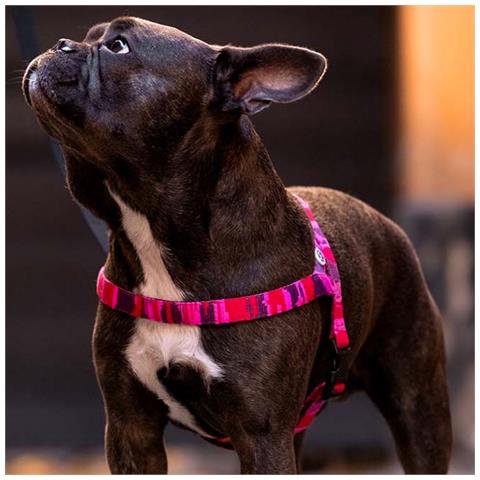 Pettorina Per Cani Mimetica Rosa - M - Foto 2