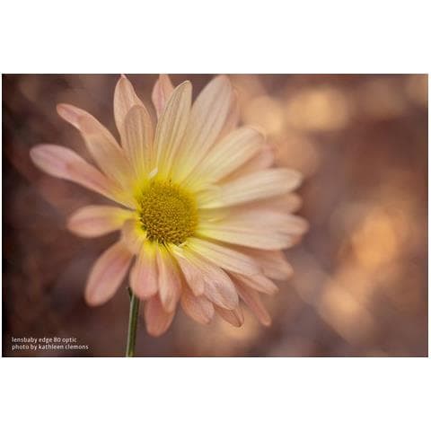 Lente Ottico Nero 80 mm LBE80 - Foto 14