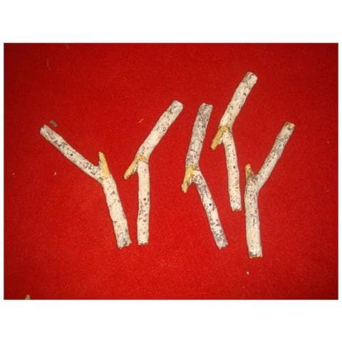 Tronchi Decorativi Imitazione Betulla - Foto 1