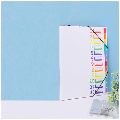 Cartella Per L'organizzazione Dei File, 24 Tasche Formato A4 White - Foto 2