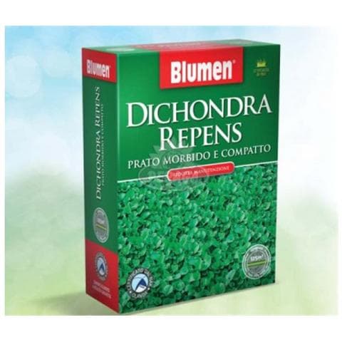 Prato Dichondra Repens 200gr - Foto 1
