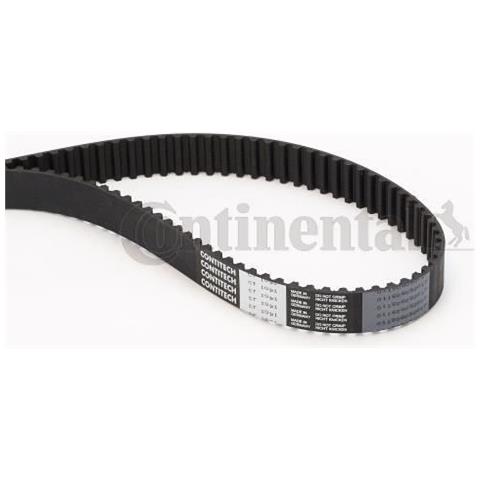 Distribuzione Cintura Ct1091 - Foto 1