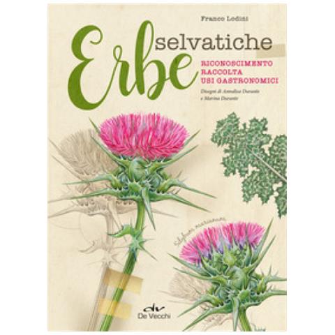 Franco Lodini - Erbe Selvatiche. Riconoscimento. Raccolta. Usi Gastronomici - Foto 1