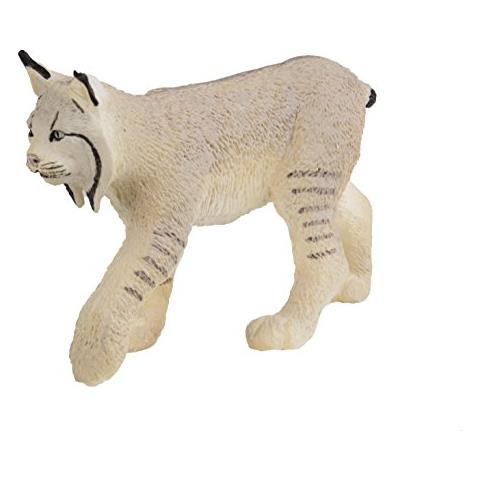 Ltd Wild Lince Della Fauna Selvatica Nordamericana - Foto 1