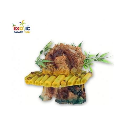 Isolotto Per Tartarughe - Foto 1