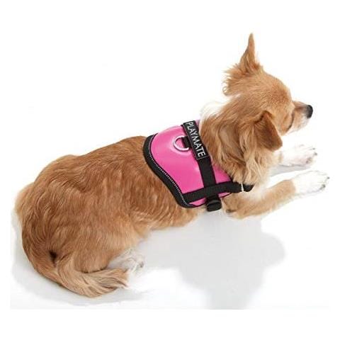 Karlie Teeny Weeny Stoviglie, Torace Circonferenza 26 - 35 Cm, Colore: Rosa- - Foto 3