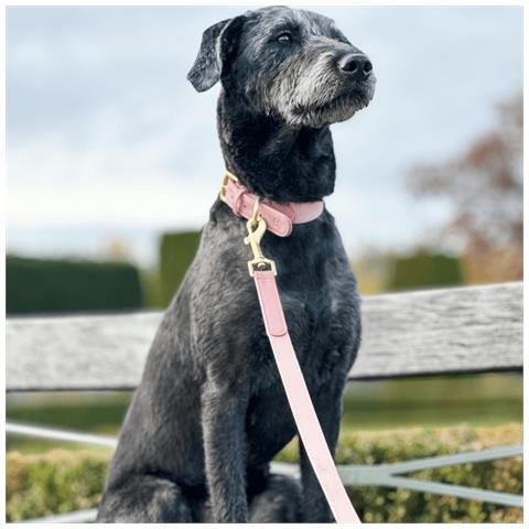 Guinzaglio Per Cani Rosa - M - Foto 3
