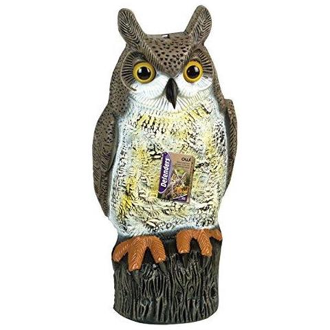 Difensori Decoy Owl (gufo Fascia Deterrente Per Giardini Uccello Scarer)  - Foto 1