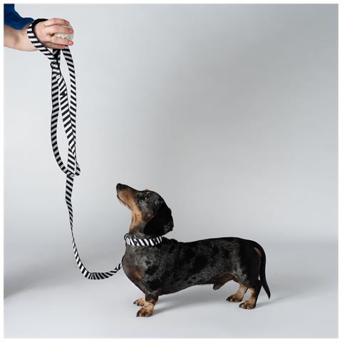 Guinzaglio Per Cani Zebra - Foto 2