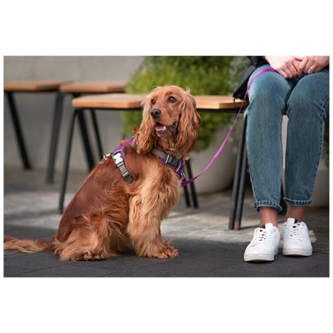 Imbracatura Per Cani Red Dingo Dingo 62-108 Cm 72-112 Cm Viola Xl - Foto 2