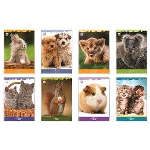 Cf10 Mon Petit A4 100 Gr 0c - Foto 1