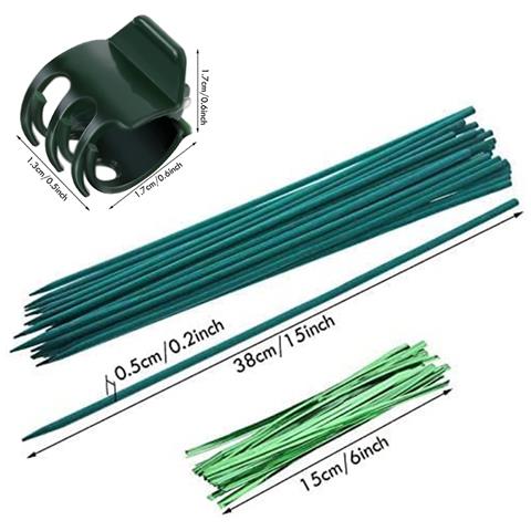 Kit Di Supporto Per Piante - 30cm, 20 Pali, 40 Clip, 20 Fascette - Foto 4