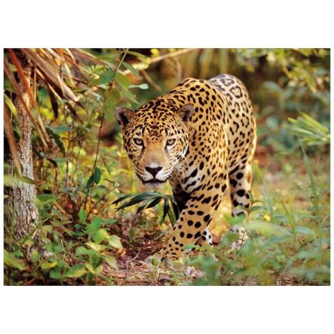 Cavo USB 2.0 Tipo A / mini-B ad angolo 1m - Foto 2