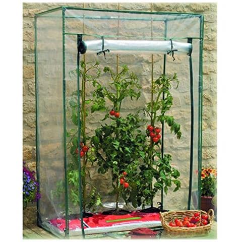 Serra Per Pomodori - Foto 1